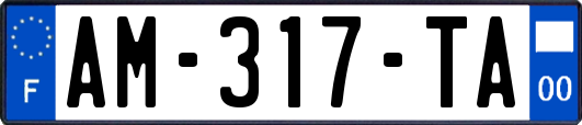 AM-317-TA