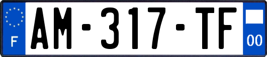 AM-317-TF