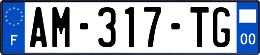 AM-317-TG
