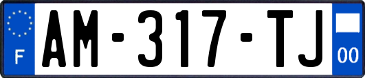 AM-317-TJ