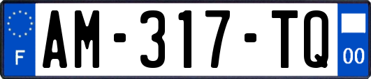 AM-317-TQ