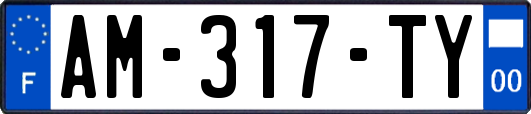 AM-317-TY