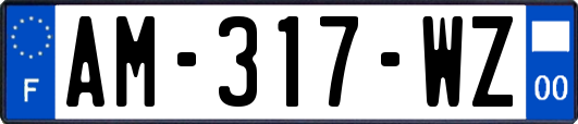 AM-317-WZ