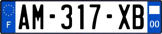 AM-317-XB