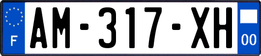 AM-317-XH