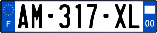 AM-317-XL