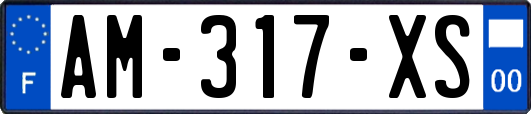 AM-317-XS