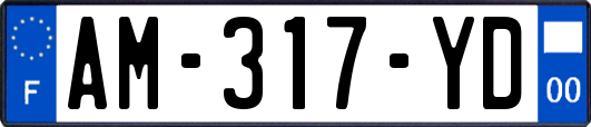 AM-317-YD