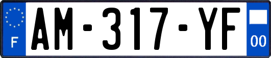 AM-317-YF