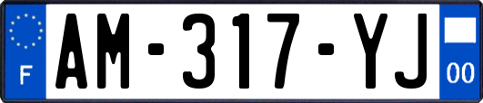 AM-317-YJ