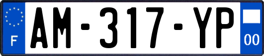 AM-317-YP