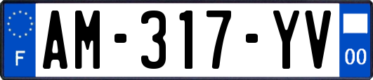 AM-317-YV