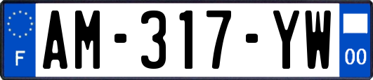 AM-317-YW