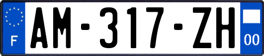 AM-317-ZH