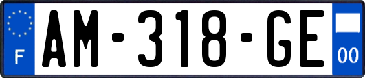 AM-318-GE