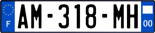 AM-318-MH