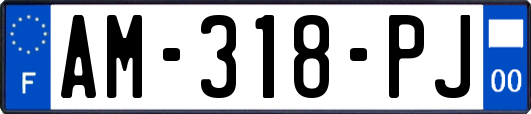 AM-318-PJ