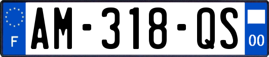 AM-318-QS