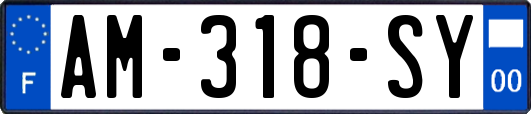 AM-318-SY