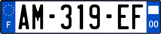 AM-319-EF