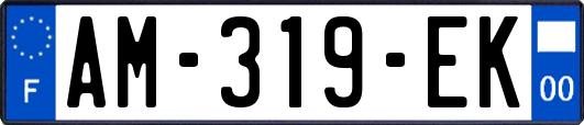 AM-319-EK