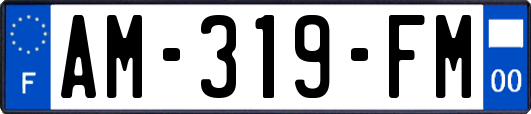 AM-319-FM