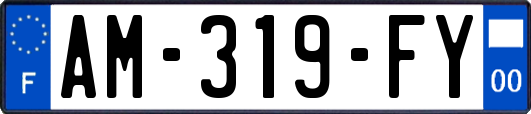 AM-319-FY