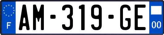 AM-319-GE