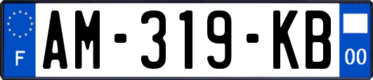 AM-319-KB