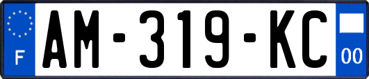 AM-319-KC