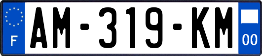 AM-319-KM