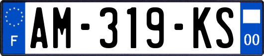 AM-319-KS