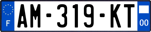 AM-319-KT