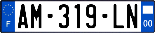 AM-319-LN