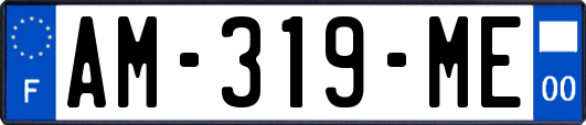 AM-319-ME