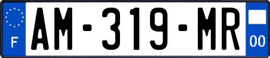 AM-319-MR