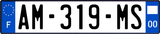 AM-319-MS