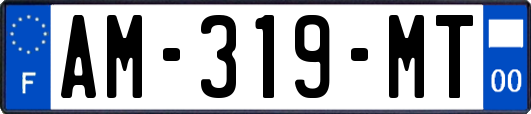 AM-319-MT