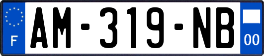 AM-319-NB
