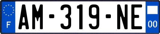 AM-319-NE