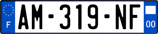 AM-319-NF