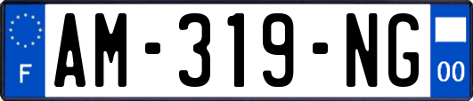 AM-319-NG