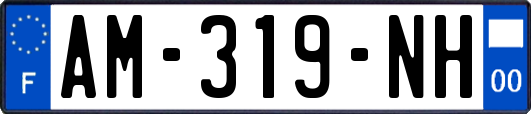 AM-319-NH