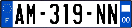 AM-319-NN