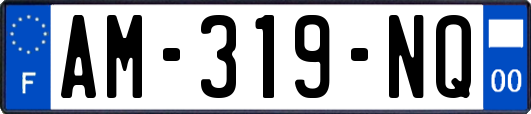 AM-319-NQ