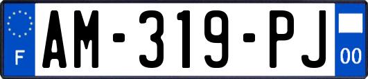AM-319-PJ