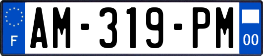 AM-319-PM