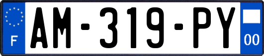 AM-319-PY