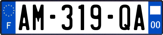 AM-319-QA