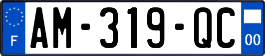 AM-319-QC